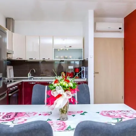 Palma 4 *